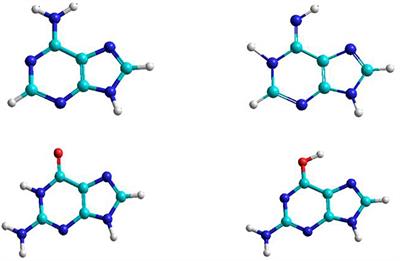 Theoretical Study of Adenine to Guanine Transition Assisted by Water and <mark class="highlighted">Formic</mark> Acid Using Steered Molecular Dynamic Simulations